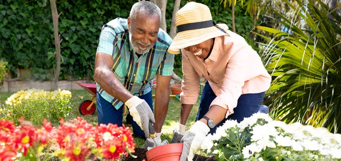 Older couple enjoy gardening together
