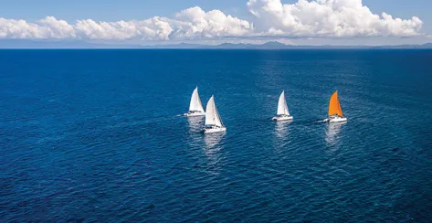 Three white and one orange sailboat cruising on the open water 
