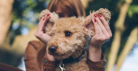 Woman holding dogs ears
