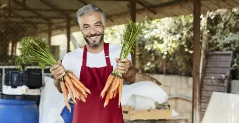 Smiling, mature male wearing a plain T-shirt and red apron holds up two bunches of fresh carrots at an organic farm