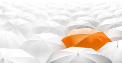 Graphic image depicting a sea of white umbrellas and featuring one orange umbrella 